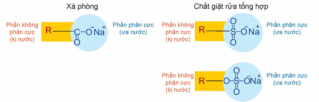 Cấu tạo chung của xà phòng và chất giặt rửa tổng hợp phổ biến